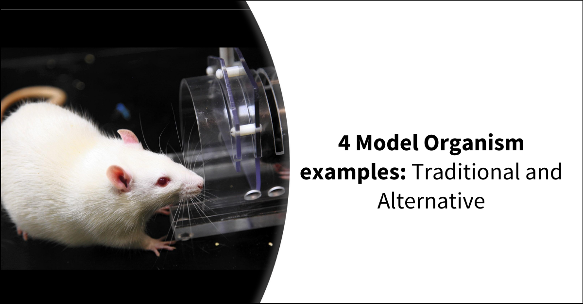 4 Model Organism examples Traditional and Alternative